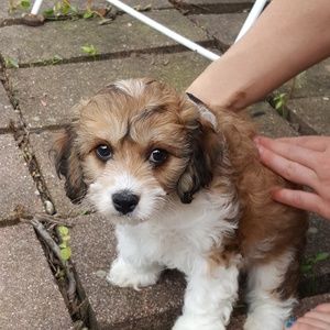 Meet your Posher, Cathy